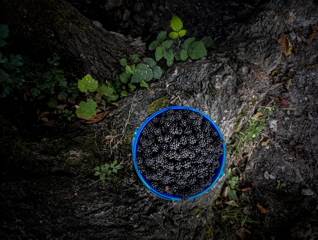 Terveelliset ruoka-aineet eri väreissä